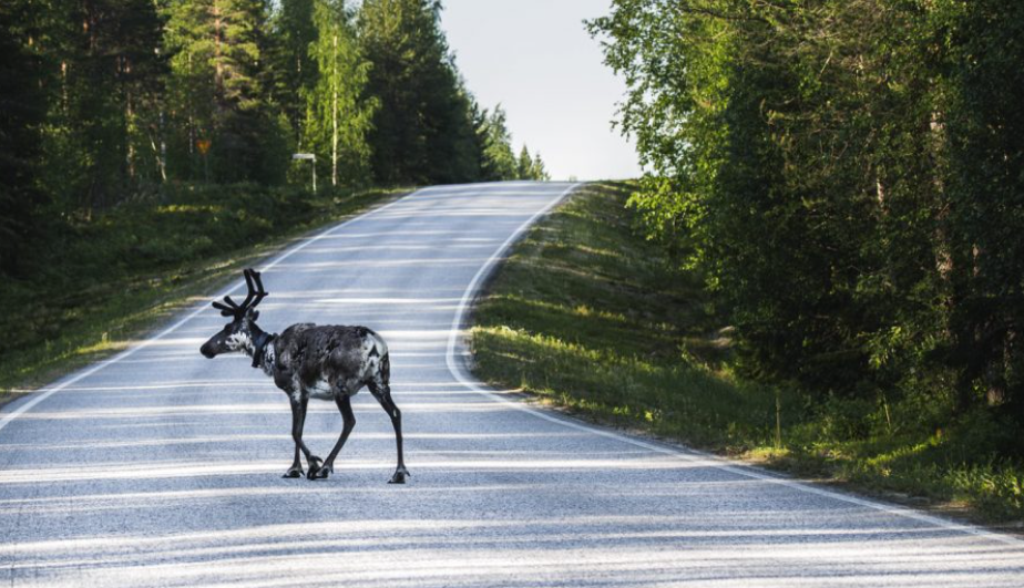 het verkeer in finland