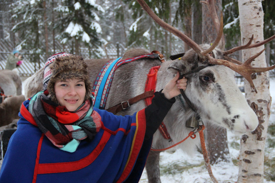 sami with reindeer