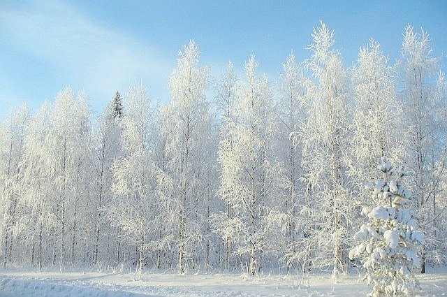 winter in finland