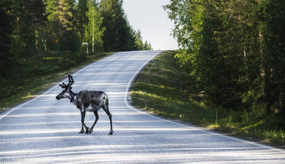 traffic in finland