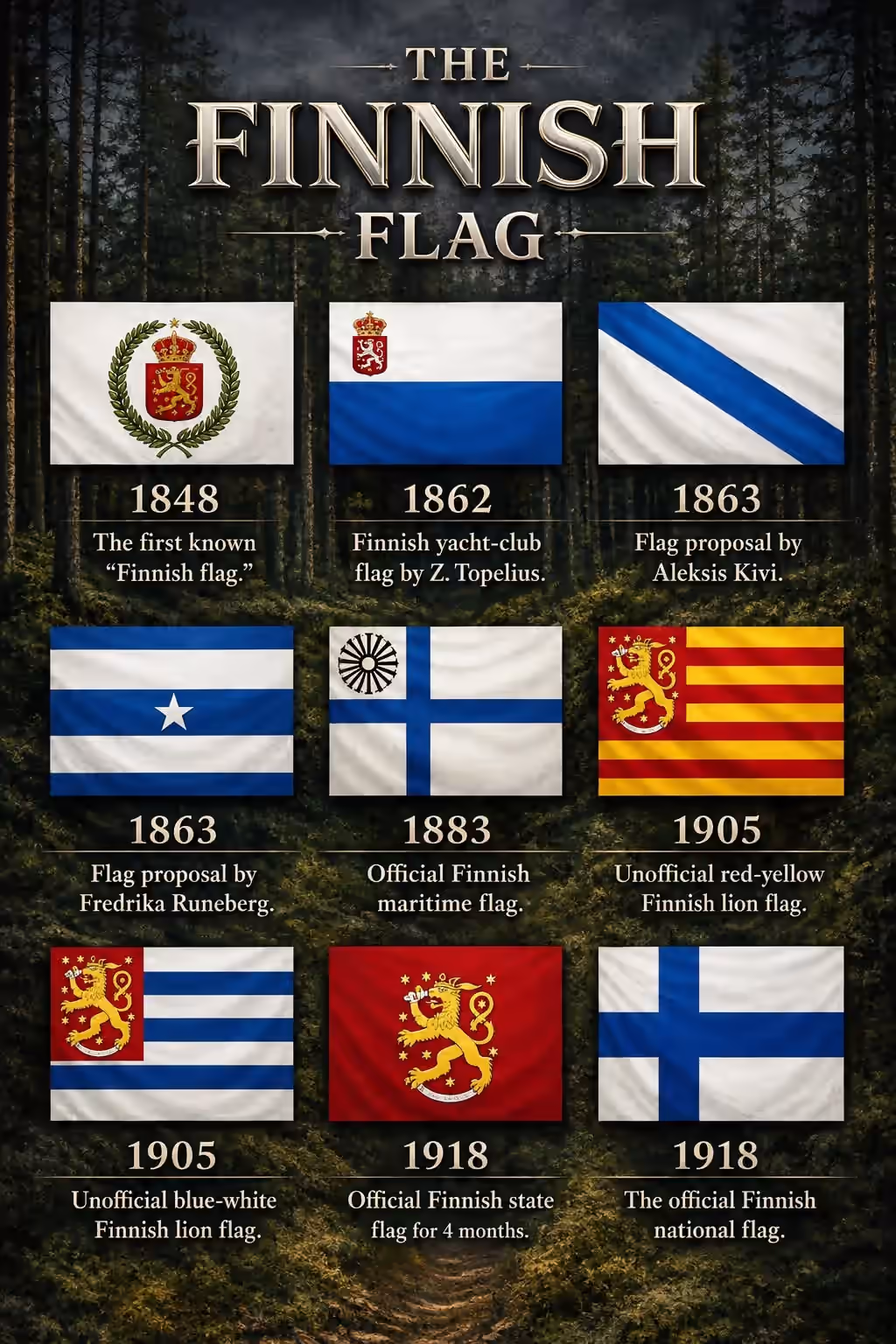 De Finse vlag 1 De Finse vlag